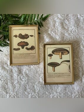 Pair of Vintage Brass Framed Mushroom Decor 5x7